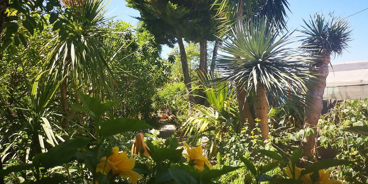 Апартаменты Costa Tropical Oasis Мотриль