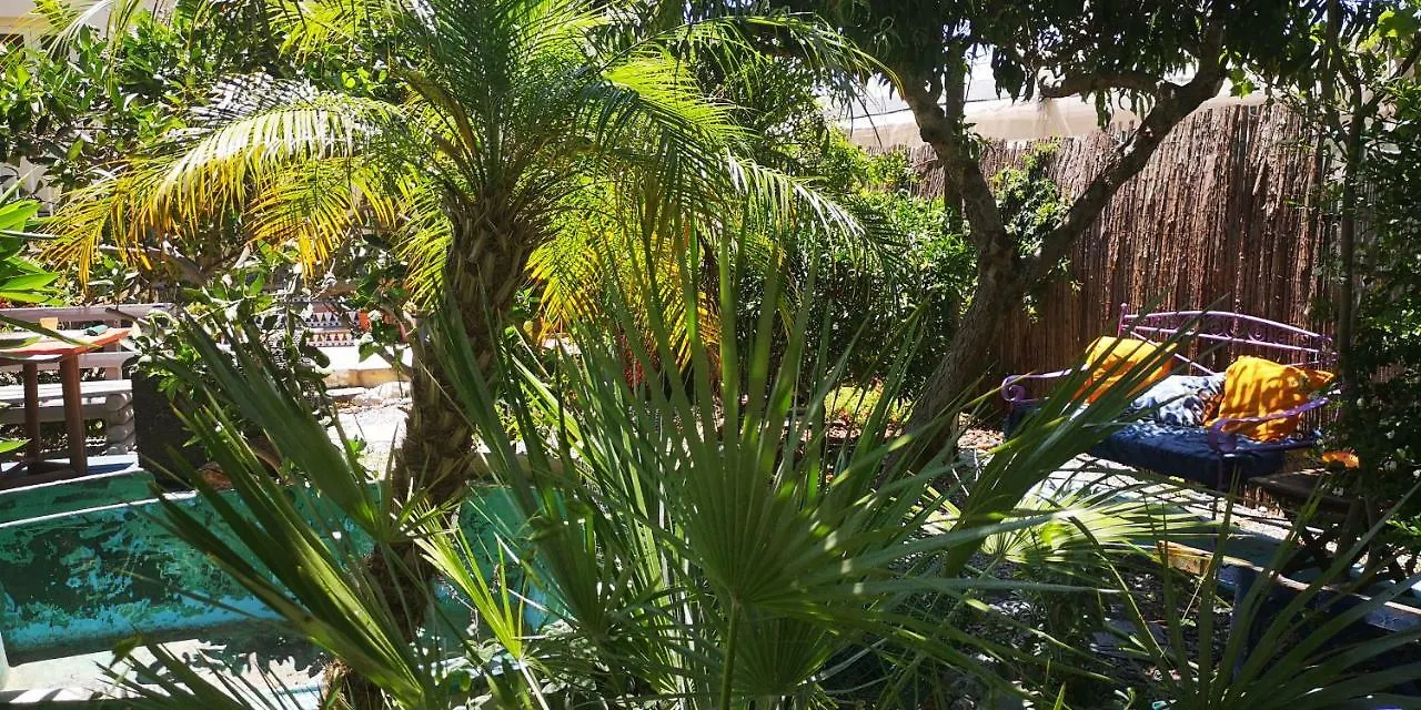 Апартаменты Costa Tropical Oasis Мотриль 0*,