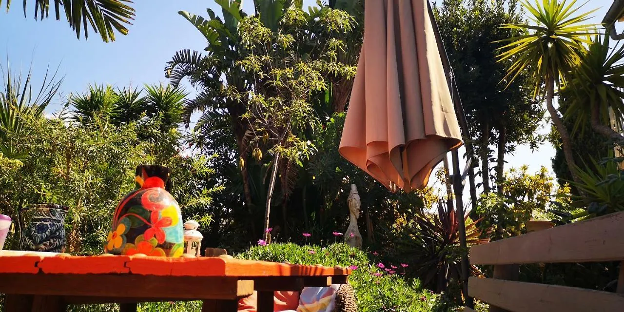 Апартаменты Costa Tropical Oasis Мотриль 0*,